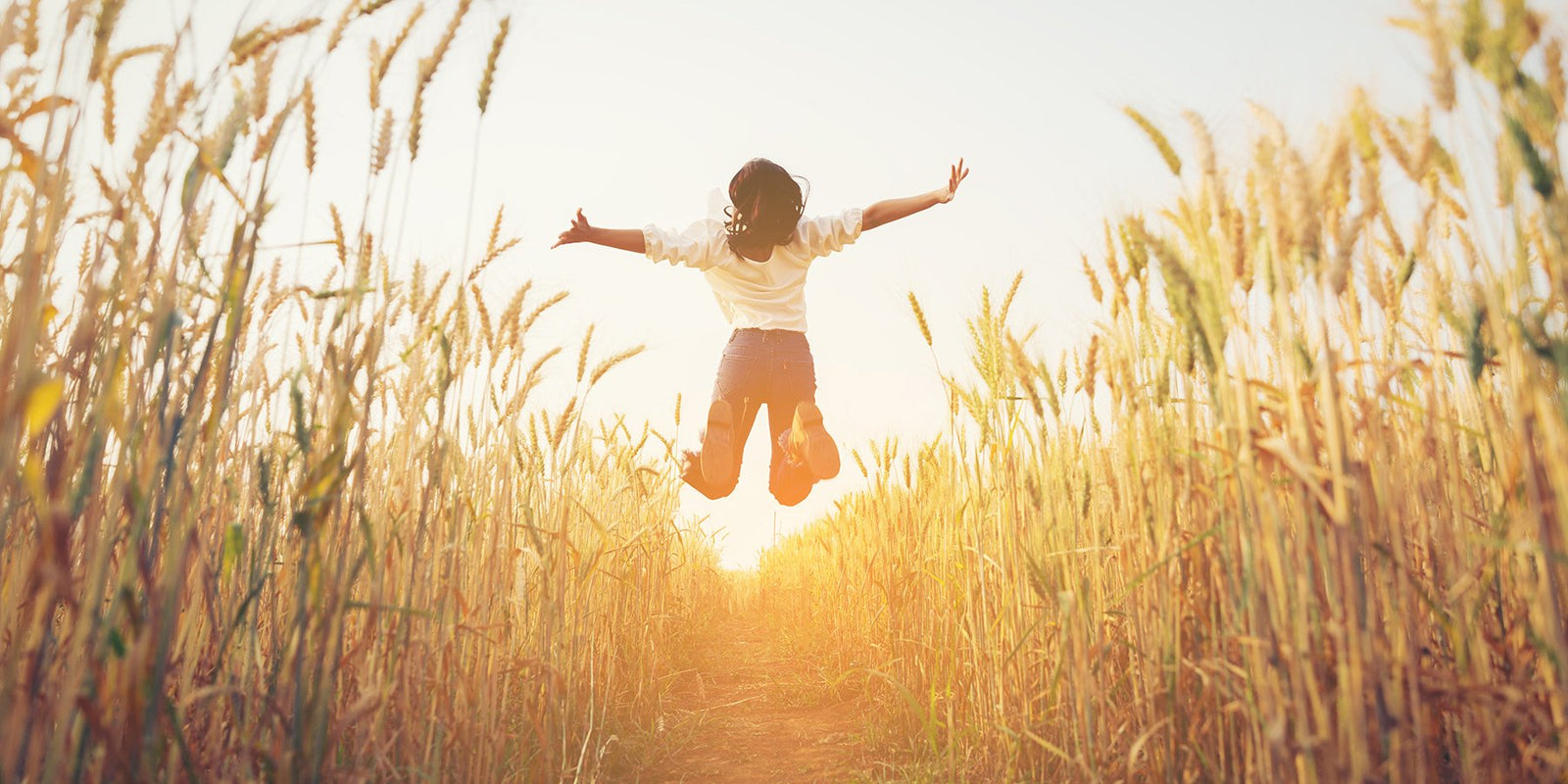 Collection of supplements created to promote energy