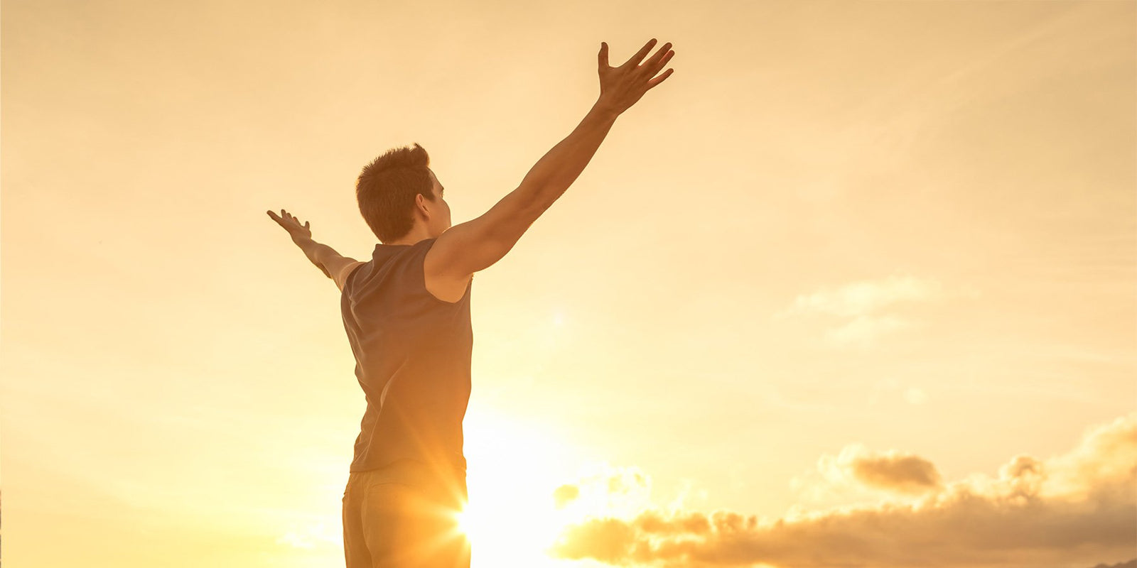 Collection of supplements created for Men